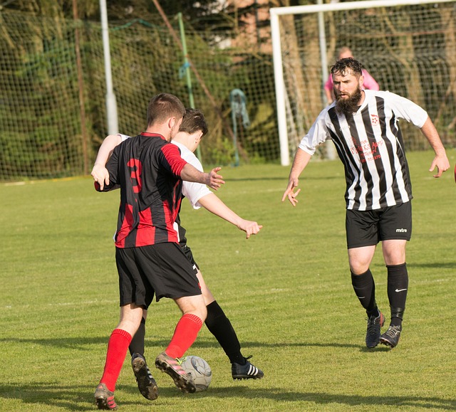 强化球队阵 强化球队阵