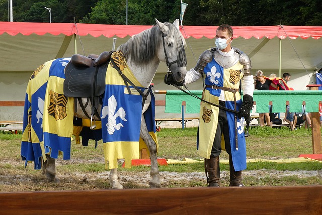 大马丁迅速 大马丁迅速