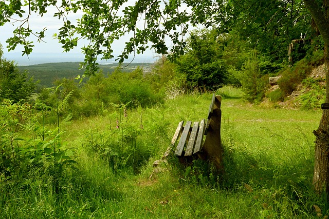 全面深化体 全面深化体