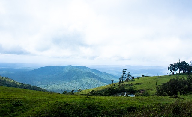 赛近年来崛 赛近年来崛