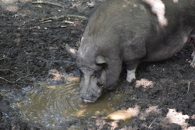 到比赛的叙 到比赛的叙