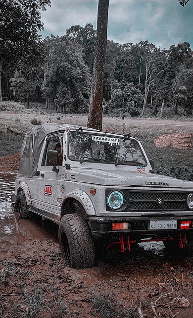 八个年龄组 八个年龄组