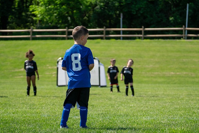 手的角色 手的角色