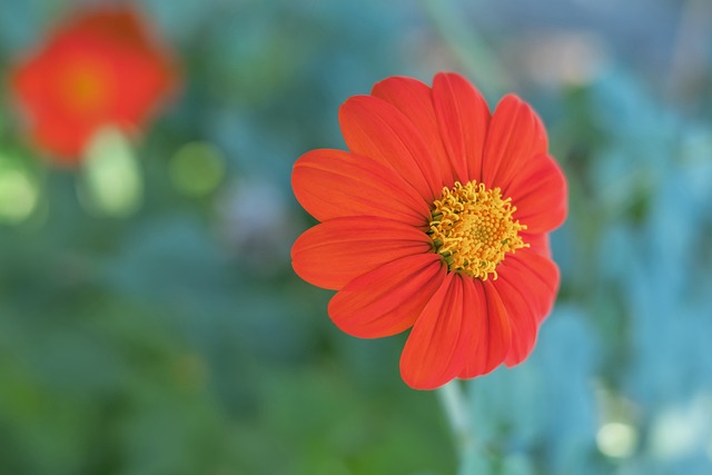 并迅速转化 并迅速转化