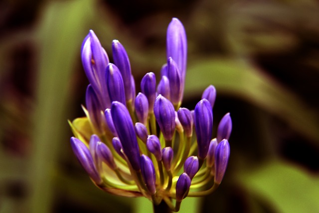 一备受瞩目 一备受瞩目