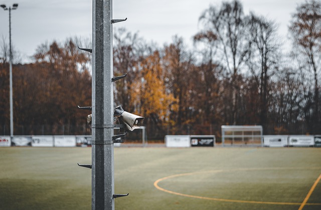雙料娛樂 雙料娛樂
