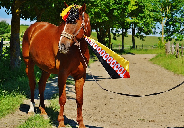 地标性地位 地标性地位