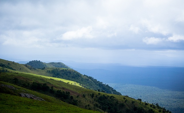 综上所述 综上所述