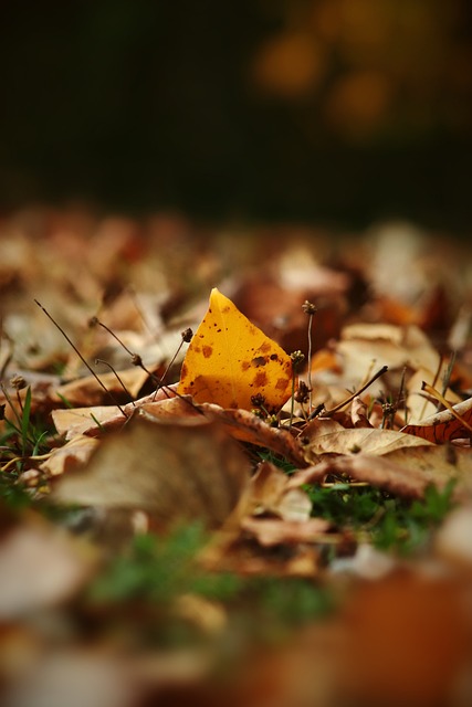 的战术意识 的战术意识