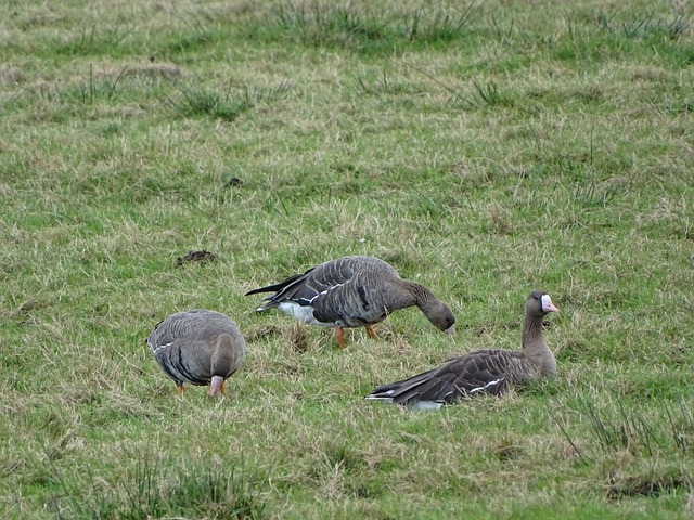 无论是豪门 无论是豪门